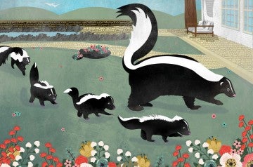 illustration of mother skunk with babies walking through an open backyard
