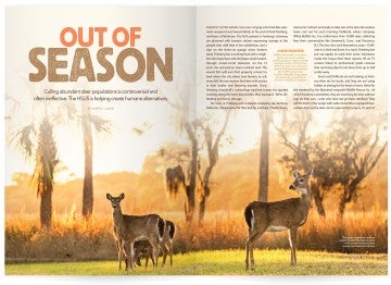 Image of the All Animals magazine article, "Out of season"