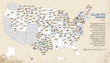 US map showing states with bans in place, and states with animal icons representing the types of wildlife killing contests that are still allowed.