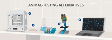 Illustration of a lab showing various animal testing alternatives, labeled A through D. A shows a box-like structure; B shows test tubes and a Petri dish with a layer of 3D-printed skin; C shows a microscope; and D shows a laptop with a web-like image of dots on the screen.