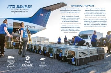 Photo showing HSUS staff transporting crates of beagles onto a plane.