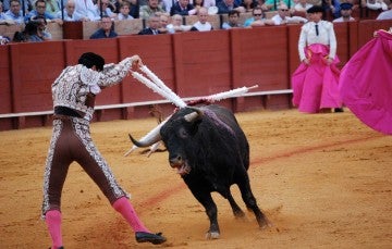 A matador thrusts swords into an exhausted bull in a bullfighting arena
