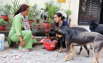Two women giving water to street dogs in India. 