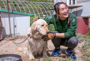 Woman next to chained dog being rescued at a dog meat farm