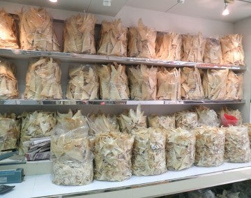 Shelves full of dried shark fins