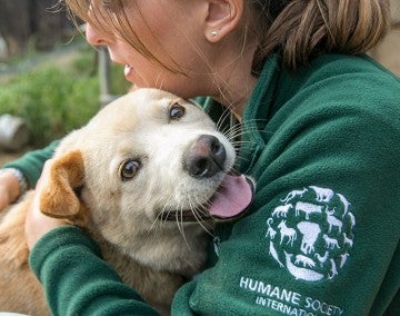 Dog meat farm rescue dog and HSI rescuer