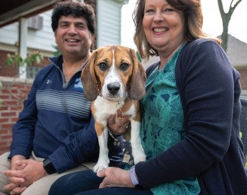 Teddy, a medium-sized beagle, stares into the camera while sitting with his adopters, Greta Guest and Dave Rubello