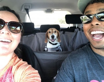 Beagle dog sitting in car with his new family.