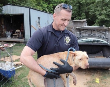 Photo of a Gaston County detective comforting a dog during the rescue.