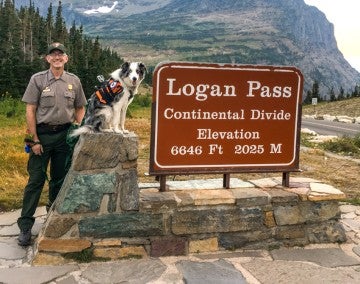 Mark Biel and Gracie standing at the Logan Pass sign.