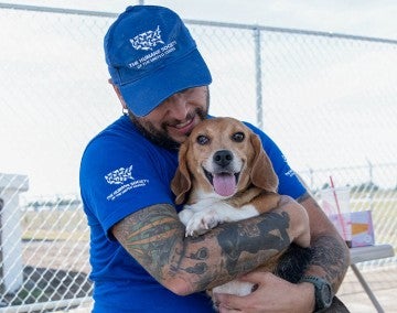 HSUS staff plays with beagle at care and rehab center