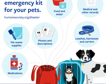 Prepare an emergency kit for your pets
