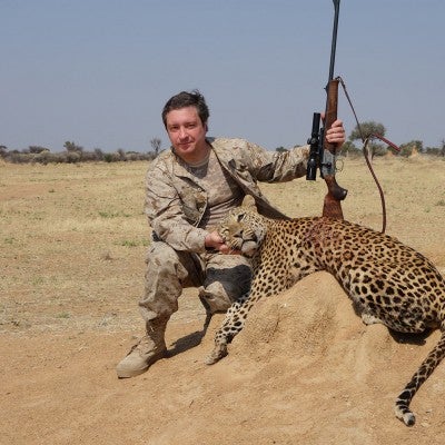 A male leopard of approximately 70 kg is shot in Namibia by a white hunter