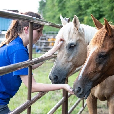 HSUS staff member with horses before they were rescued from an alleged cruelty situation in Texas