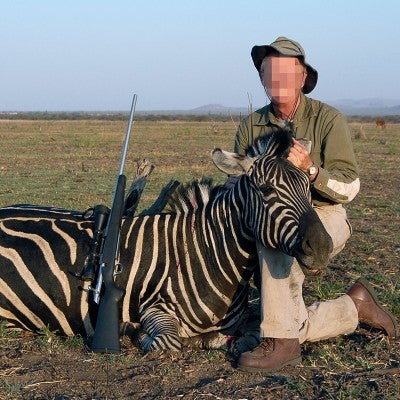 A hunter posing with a zebra he shot at a captive hunting ranch in South Africa.
