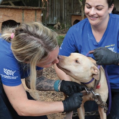Rescuing Animals in Crisis | The Humane Society of the United States
