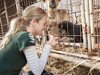 HSI staff member, Lola,  meets puppies on a dog meat farm in South Korea