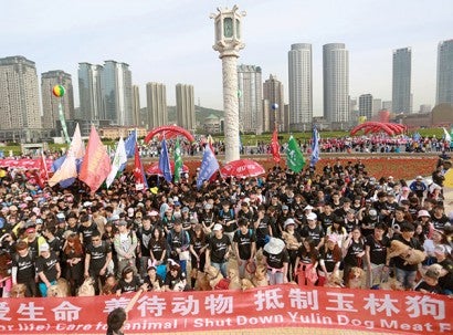 More than 1,000 supporters of the VShine animal protection group (and dozens of their dogs) rallied in Dalian, China, to stop the Yulin festival. 
