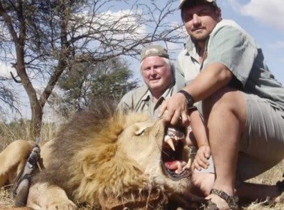 A trophy hunter props open the mouth of a lion he killed for the obligatory photo.