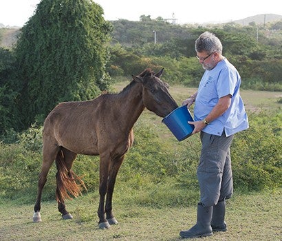 Dave Pauli feeding a horse
