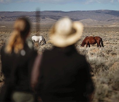 Kayla Grams observing wild horses