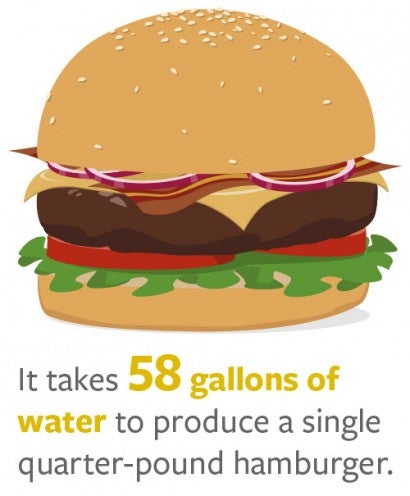 It takes 58 gallons of water to produce a single quarter-pound hamburger.