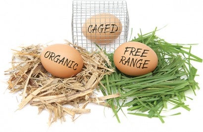 Photo illustration of food labels on eggs
