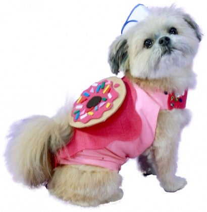 Small dog wearing a donut costume