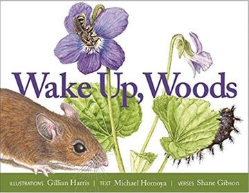Book cover of Wake Up, Woods 