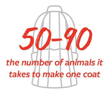 50-90, the number of animals it takes to make one coat