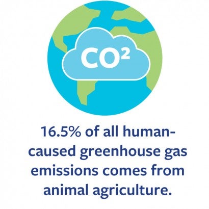 16.5% of all human-caused greenhouse gas emissions comes from animal agriculture.