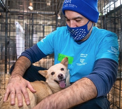 HSUS Volunteer comforting a dog rescued from the dog meat trade at a temporary shelter