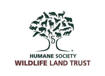 Wildlife Land Trust logo