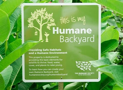 humane backyard sign