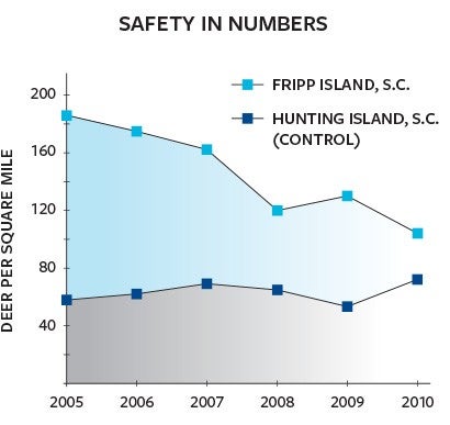 A graphic showing deer population on Fripp Island, SC compared to Hunting Island, SC from 2005 - 2010