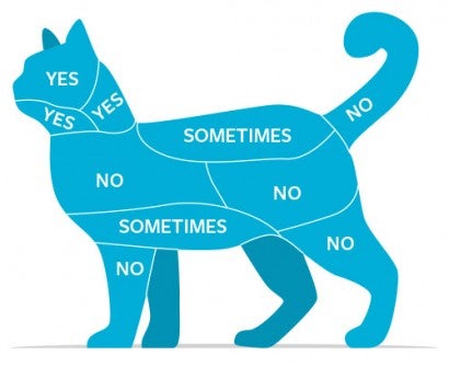 Illustration of a cat showing different parts of its body with "Yes" "No" or "Sometimes" based on cats preferences.