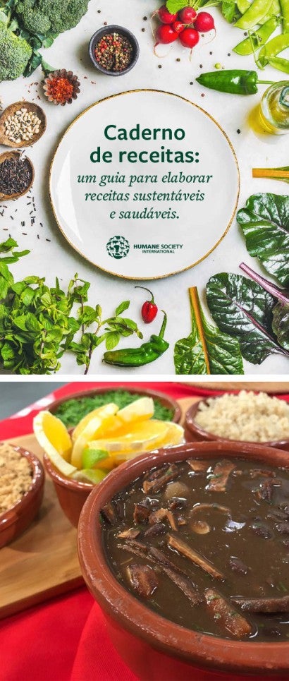 Cover of an HSI recipe book and a photo showing a bowl of feijoada and fixings.