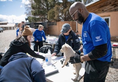 Rescuer Vincent Medley holds a puppy during an intake exam.