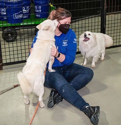 Two dogs rescued from a South Korean dog meat farm, are introduced for some play time and to guage how well they interact with each other,