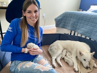 Photo of Kirsten Peek with Dorothy and her newborn puppies.