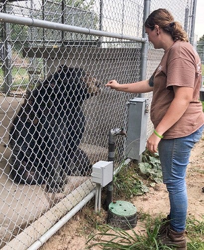 Taylor Favorite works with a bear at Black Beauty Ranch