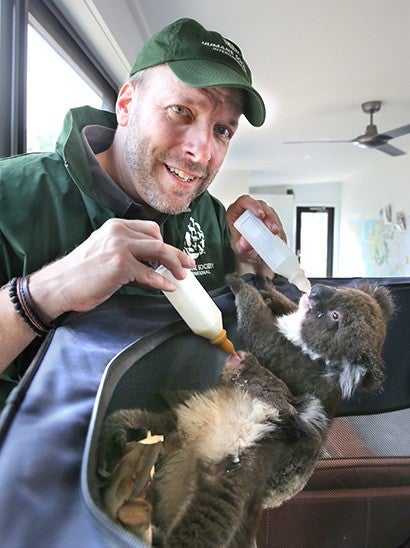 Humane Society International president Jeffrey Flocken cares for koalas rescued during the 2020 Australian wildfires.