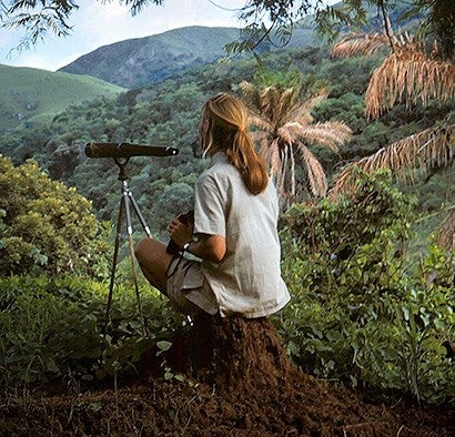 A young Jane Goodall overlooks the jungle.