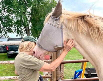 Magnolia the horse with her new owner.