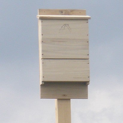 A homemade bat box is nailed to a post