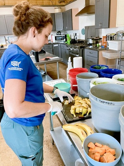 Black Beauty Ranch staff member prepares food for the animals.