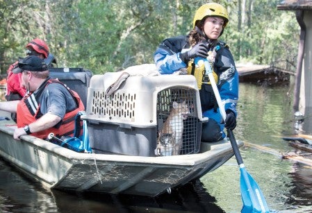 Emergency response team on a boat with rescued cats in a crate.