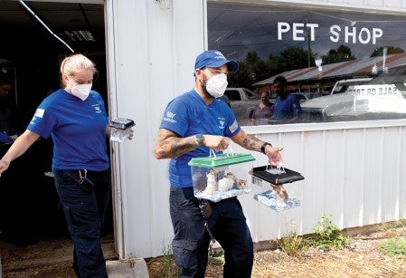 HSUS Rescue Team removing hamsters from a pet shop.