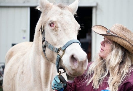 Animal transporter Dee Owens leads a blind mare who was found pacing in her pen.