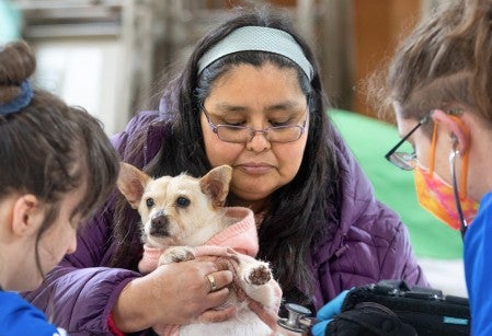 Brandi Markishtum holds pup Lola for a veterinary exam by veterinarian Colleen Cassidy, right, and veterinary assistant Sara Michelassi during the RAVS clinic serving the Quinault Nation.
